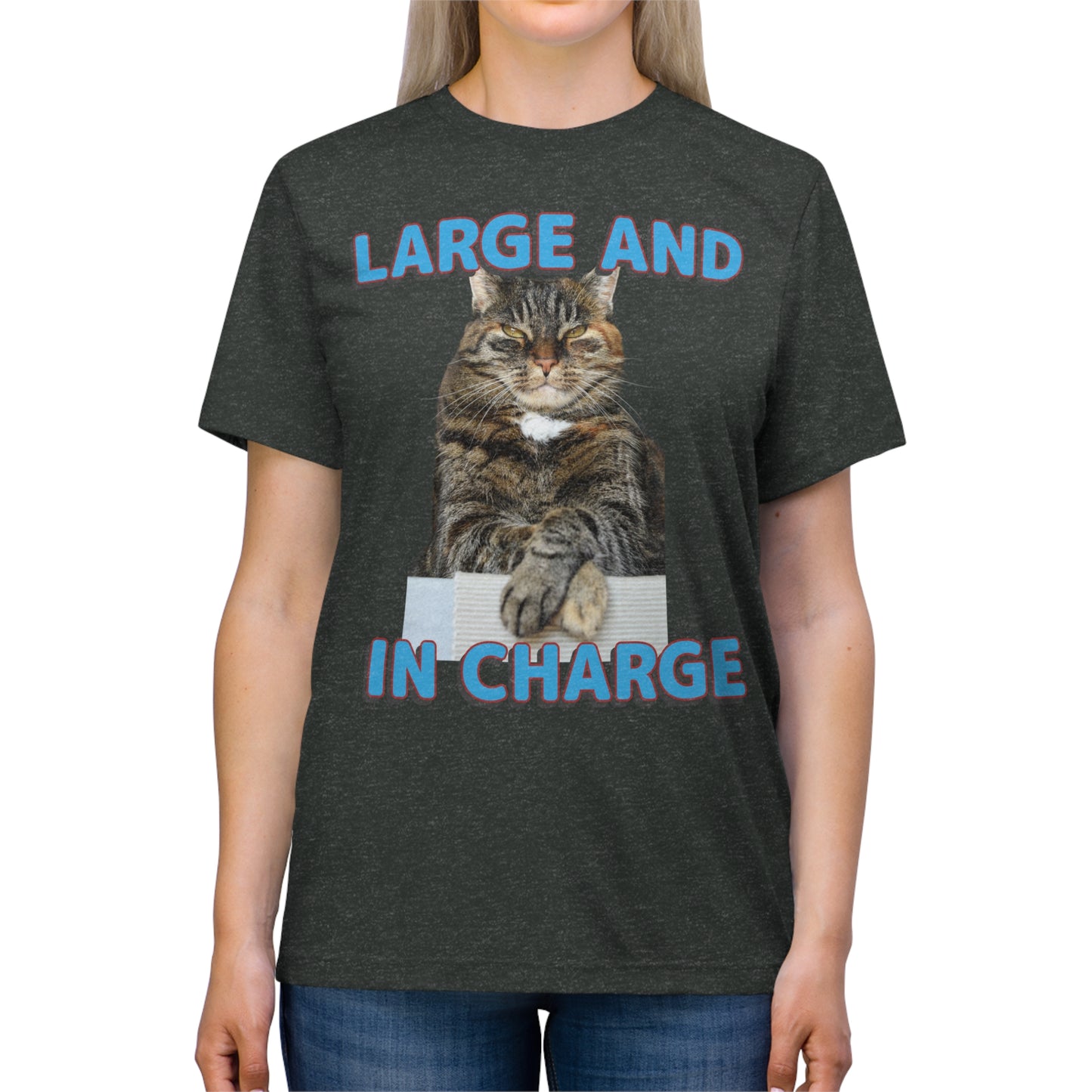 Large and in Charge cat shirt - Unisex Triblend Tee