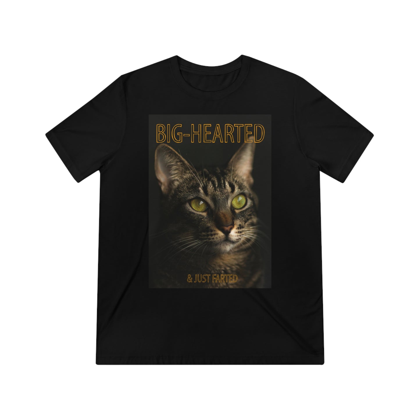 Big-Hearted, Just Farted cat shirt - Unisex Triblend Tee