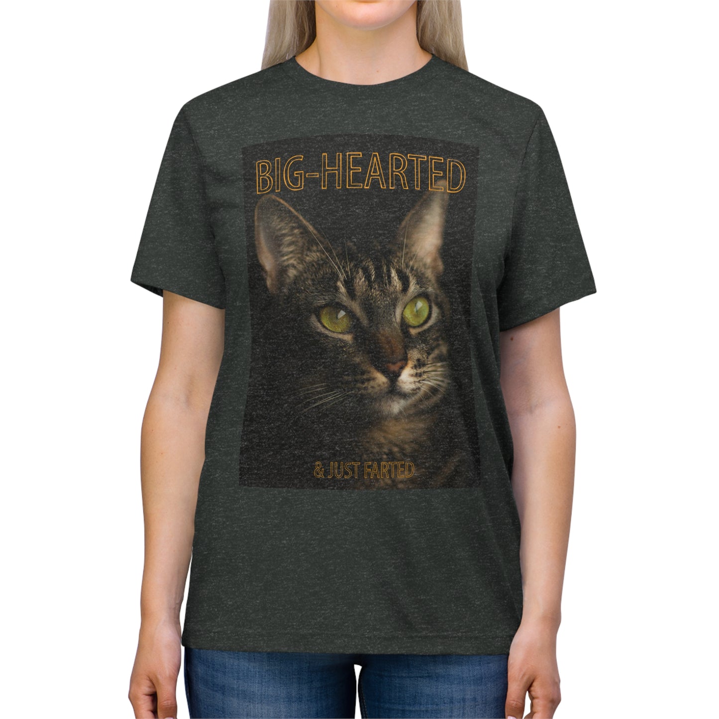 Big-Hearted, Just Farted cat shirt - Unisex Triblend Tee