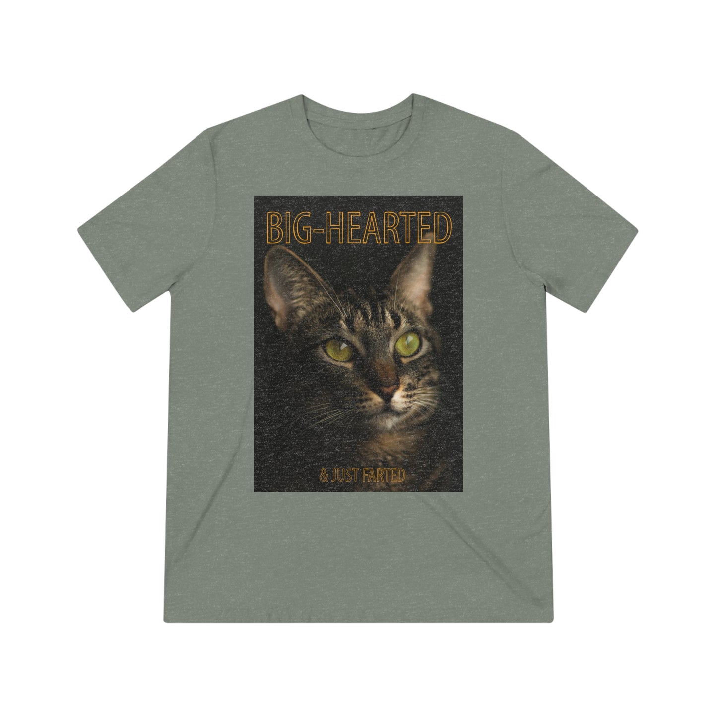 Big-Hearted, Just Farted cat shirt - Unisex Triblend Tee