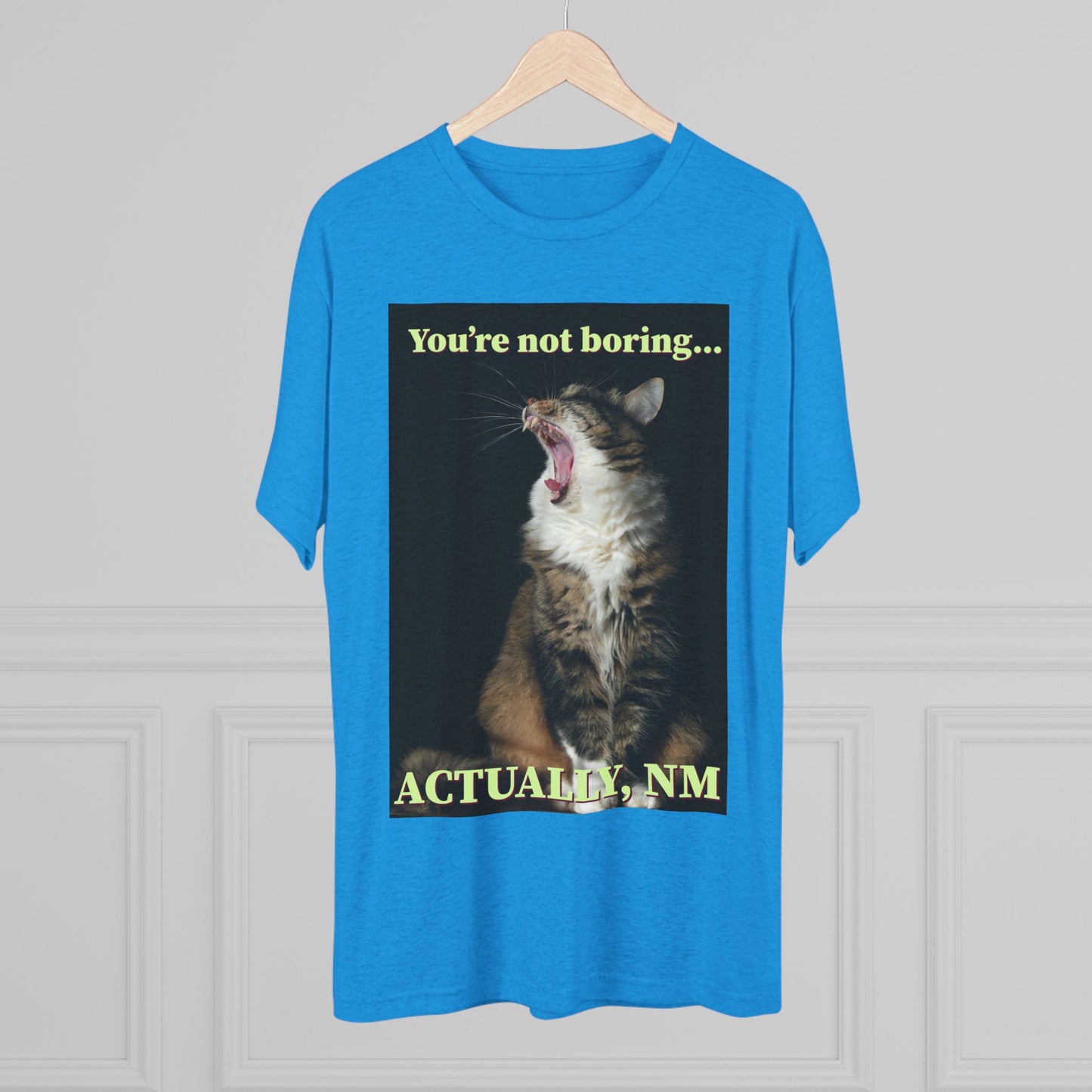 You're Not Boring, Actually NM - cat shirt - Unisex Triblend Tee