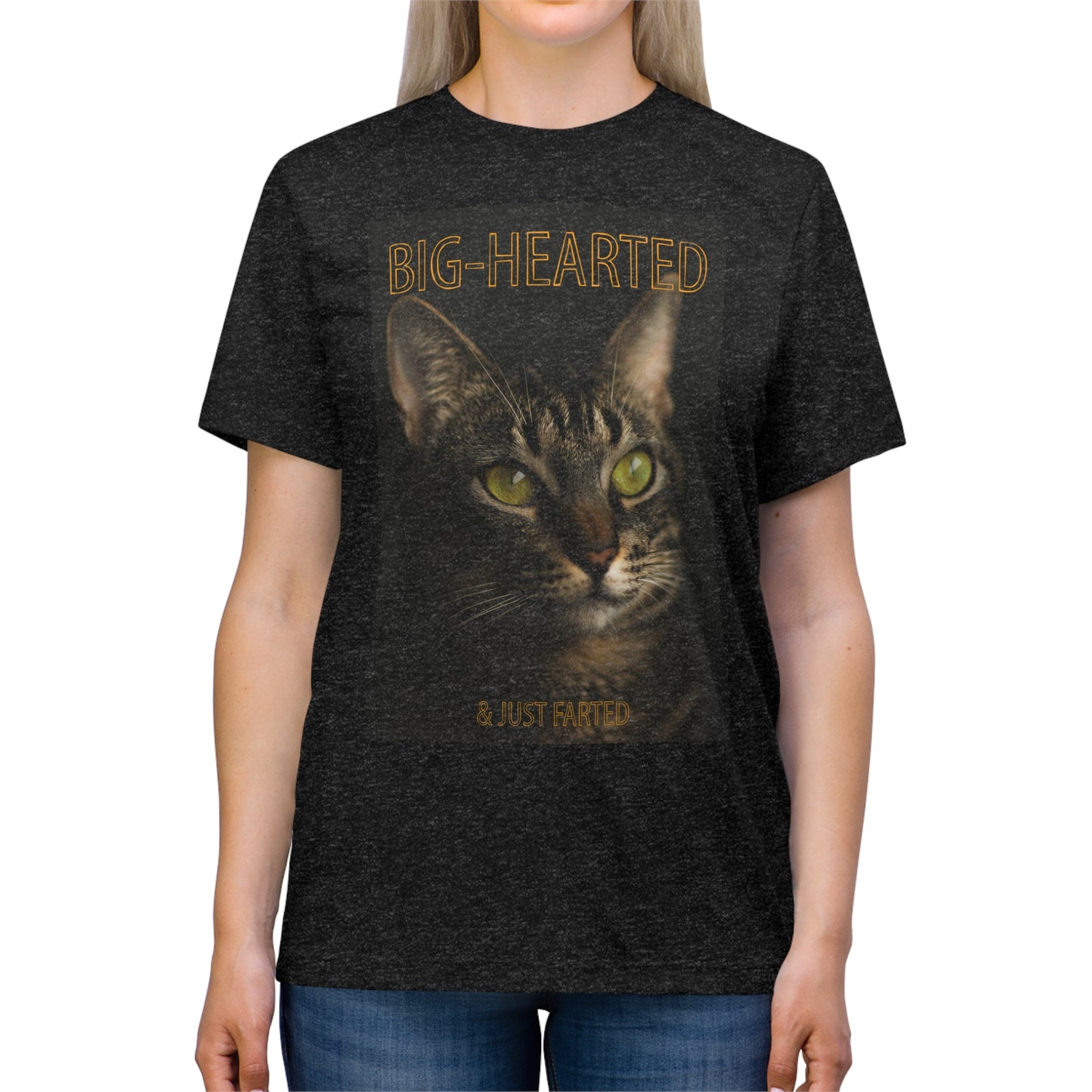 Big-Hearted, Just Farted cat shirt - Unisex Triblend Tee