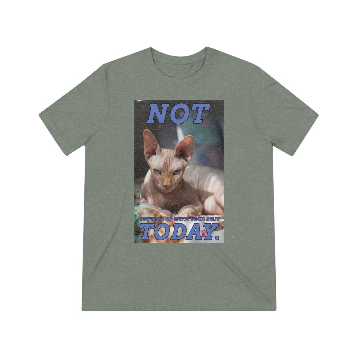 Not Today - cat shirt - Unisex Triblend Tee