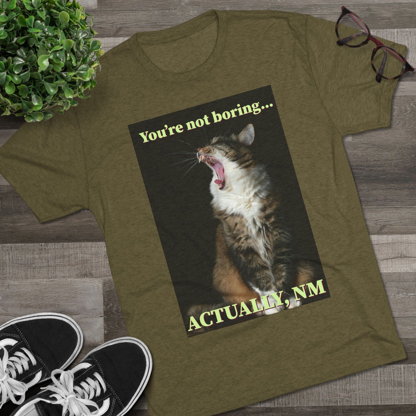 You're Not Boring, Actually NM - cat shirt - Unisex Triblend Tee