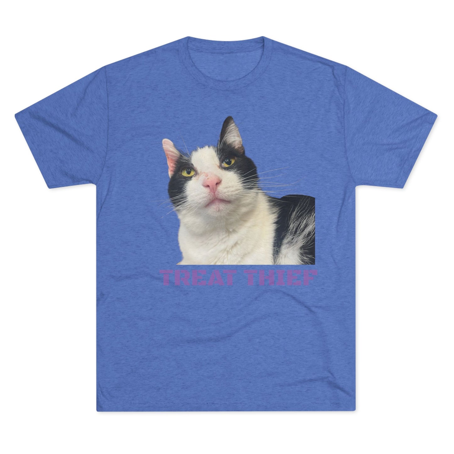 Treat Thief (Sugar) tee