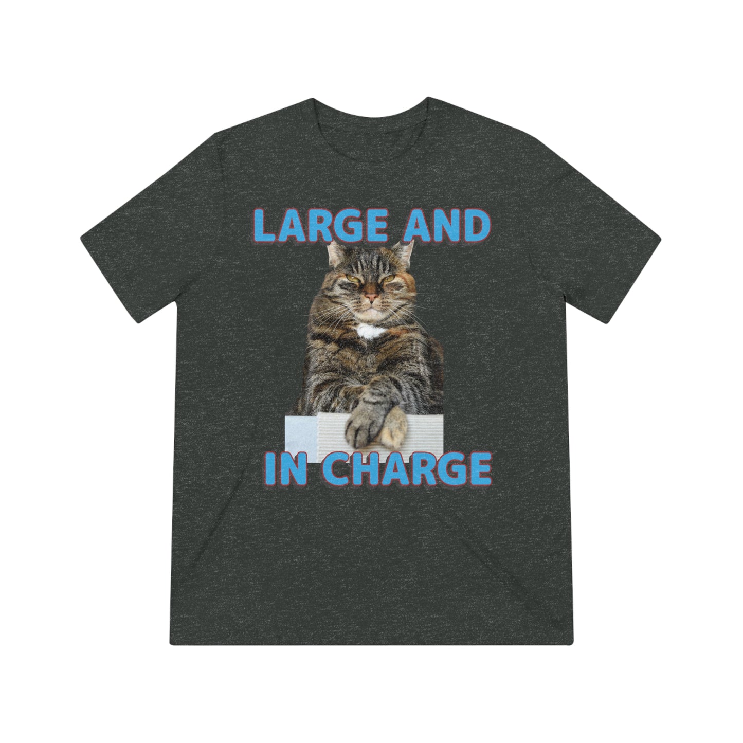 Large and in Charge cat shirt - Unisex Triblend Tee