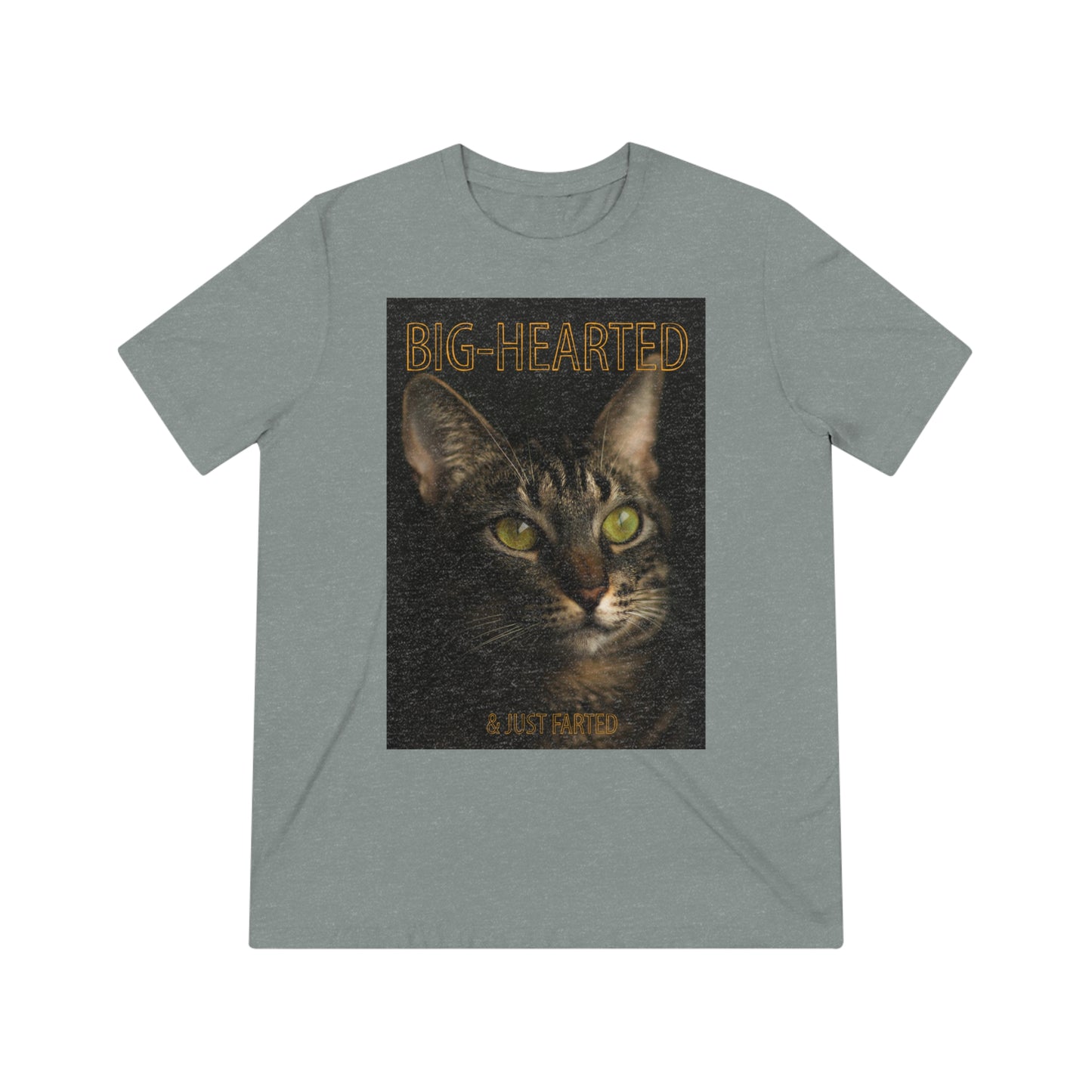 Big-Hearted, Just Farted cat shirt - Unisex Triblend Tee