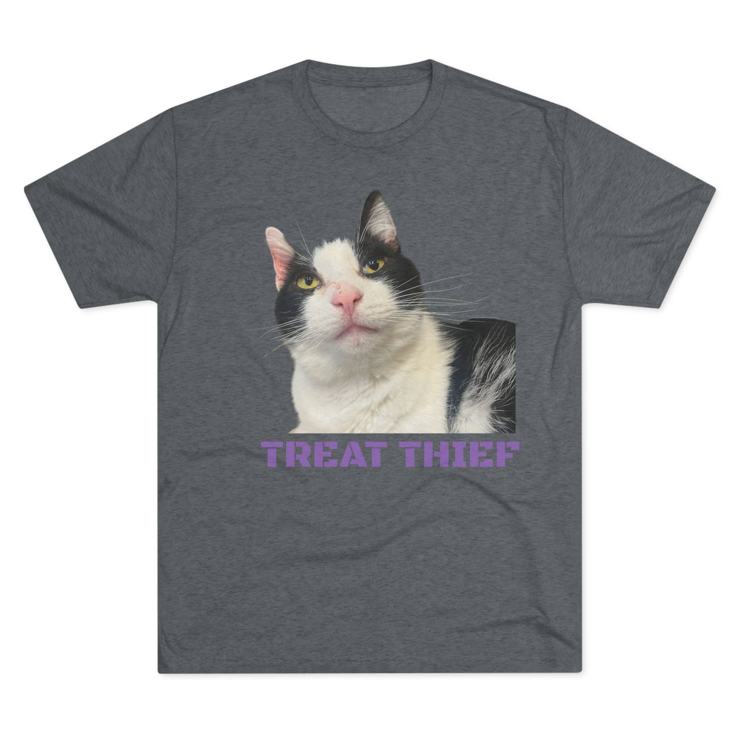 Treat Thief (Sugar) tee